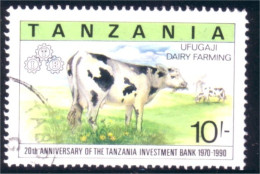 866 Tanzania Vache Cow Beef Boeuf Dairy Elevage Laitier (TZN-110) - Kühe