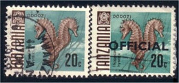 866 Tanzania Hippocampes Seahorses Hippocampe Seahorse (TZN-94) - Eilanden