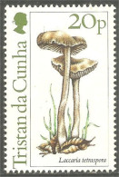 876 Tristan Da Cunha Champignon Mushroom Pilz Paddestoel Fungo MH * Neuf CH (TDC-8) - Tristan Da Cunha