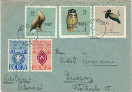 Bytom 1962 Seeadler H. Albicilla - B. Bubo Uhu - Schwarzstorch C. Nigra > Eisenerz - Vögel Ornithologie - Cartas & Documentos