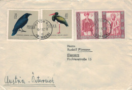 Bytom 1962 Corvus Corax Kolkrabe - Schwarzstorch C. Nigra > Eisenerz - Vögel Ornithologie - Tracht Slowakisch - Briefe U. Dokumente
