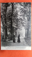 CPA (94) Fontenay Sous Bois. Petit Séminaire Des Missions Franciscaines. Une Allée Du Parc. (1A.n°130) - Fontenay Sous Bois