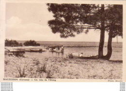 D33  MAUBUISSON  Un Coin De L' Etang  ...... - Carcans