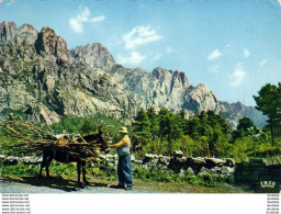 CORSE  Col De BAVELLA  Chargement De Bois - Corse