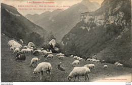 D64   EAUX CHAUDES  Sur Le Chemin De La Grotte  Troupeau De Moutons Et Vue Vers Gaziès - Laruns