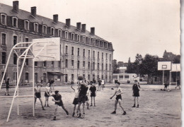 BASKET BALL(MINI CARTE) - Pallacanestro