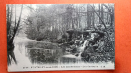 CPA (94) Fontenay Sous Bois. Lac Des Minimes. Les Cascades.(1A.n°152) - Fontenay Sous Bois