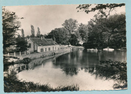 CERNAY - L'Etang De Vault - Cernay-la-Ville