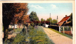 CPA AIRE LA LYS - UNE RUE  - Aire Sur La Lys