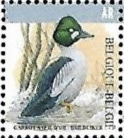 2020 Buzin Fauna  Brilduiker Canard Duck Bird MNH !! - Neufs