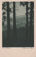 18633 - Schierke - Motiv Aus Dem Harz - Ca. 1955 - Schierke