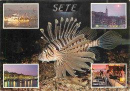 Animaux - Poissons - Sète - Multivues - CPM - Voir Scans Recto-Verso - Fish & Shellfish