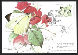 Butterfly From The Island Of Madeira. Pieris Brassicae. Vlinder Van Het Eiland Madeira. Pieris Brassicae. Schmetterling - Climate & Meteorology