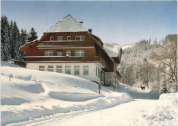 Hinterzarten - Gasthaus Esche - Hinterzarten