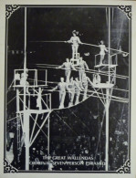 Programme 14th Annual Showfolks Of Sarasota Circus 1977 - Collezioni