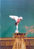 Programme Cirque De Corée - Pyongyang 1992 - 1993 - Collezioni