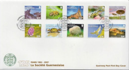 Guernsey Set On FDCs - Christmas