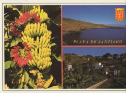 135760 - La Gomera - Spanien - Playa De Santiago - Gomera