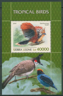 Sierra Leone 2018 Vögel Der Tropen Hoatzin Block 1551 Postfrisch (C40465) - Sierra Leone (1961-...)