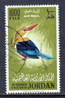 JORDAN — SCOTT C28 — 1964 1000f GRAY-HEADED KINGFISHER — USED — SCV $75 - Jordania