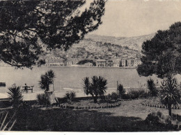 POSTCARD 3111,Croatia,Murter,Tisno - Croazia