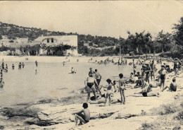 POSTCARD 3115,Croatia,Murter - Croazia