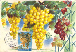 Carte Maximum Saint MArin San Marino 1958 Raisin Uva Sur Carte Illustrée Par Marcel Bloch Les Fruits De France - Cartas & Documentos