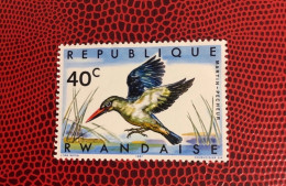 RWANDA 1967 1v MNH ** Woodland Kindfisher Martin Pêcheur  Pájaro Bird Pássaro Vogel Ucello Oiseau - Perroquets & Tropicaux