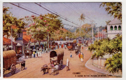 TUCK'S POST CARD Colombo Serie I N.8937 - Tuck, Raphael