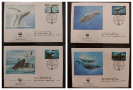 O)   1996 TONGA,  WWF- WORLD WILDLIFE  FUND,  WHALE, MEGAPTERA NOVAEAGLIAE, FDC XF - Tonga (1970-...)