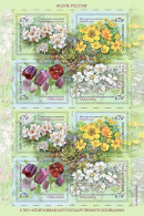 Russia 2024, Flora Of Russia Series, Sheet, Caucasian State Reserve, VF MNH**, See Names Of RARE Flowers Below. - Volledige Vellen