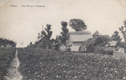 Genck - Ferme à Gelieren - Genk