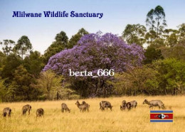 Eswatini Mlilwane Wildlife Sanctuary Swaziland New Postcard - Swasiland