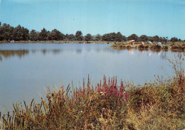 01-CHATILLON SUR CHALARONNE-N°C4040-C/0069 - Châtillon-sur-Chalaronne