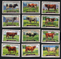 Nestlé - 41 - Les Vaches, Cows - Full Serie - Nestlé