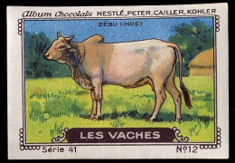 Nestlé - 41 - Les Vaches, Cows - 12 - Zébu (Inde), India - Nestlé