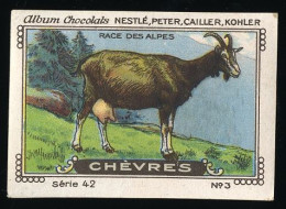 Nestlé - 42 - Chèvres, Goats - 3 - Race Des Alpes - Nestlé