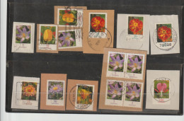 BRD Lot012 B/ Steckkarte Mit 15 Blumenmarken O - Collections