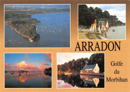 56 ARRADON Golfe Du Morbihan 55 (scan Recto Verso)MF2798BIS - Arradon