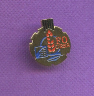 Rare Pins Politique Syndicat Fo Force Ouvriere Gers France Telecom La Poste Q823 - Administraties