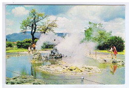 NOUVELLE-ZELANDE - The Beautiful Thermal Pool With Its Active Vents Is Found In The Rotorua Govertment Gardens - Nouvelle-Zélande