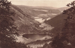 FRANCE - Environs De Gérardmer - Vue Sur La Vallée Des Lacs - Vue D'ensemble - La Forêt - Carte Postale Ancienne - Gerardmer