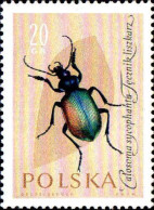 Pologne Poste N** Yv:1140-1150 Protection Des Insectes Utiles - Nuevos