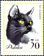 Pologne Poste N** Yv:1332/1341 Chats 1336 Petit Def.gomme - Unused Stamps