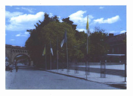 BEAURAING - LE VIADUC ET LE LIEU DES APPARITIONS (0157) - Beauraing