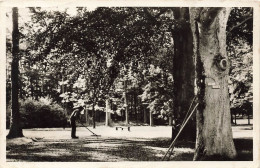 PAYS BAS - Laag Soeren - Vacantie Oord Amsterda - Carte Postale Ancienne - Rheden