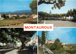 83 - MONTAUROUX MULTIVUES - Montauroux