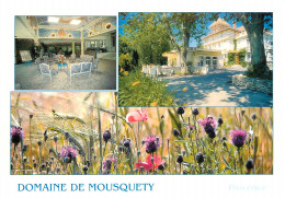 84 - L'ISLE SUR SORGUE DOMAINE DE MOUSQUETY - L'Isle Sur Sorgue