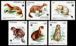 Poland, 1984, Protected Animals, Fauna, UNEP, United Nations, MNH, Michel 2946-2951 - Nuevos