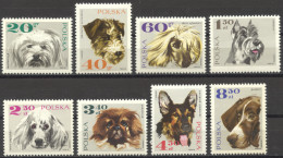 Poland, 1969, Dogs, Animals, MNH, Michel 1898-1905 - Ungebraucht